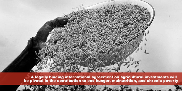 A legally binding international agreement on agricultural investments will be pivotal in the contribution to end hunger malnutrition and chronic poverty