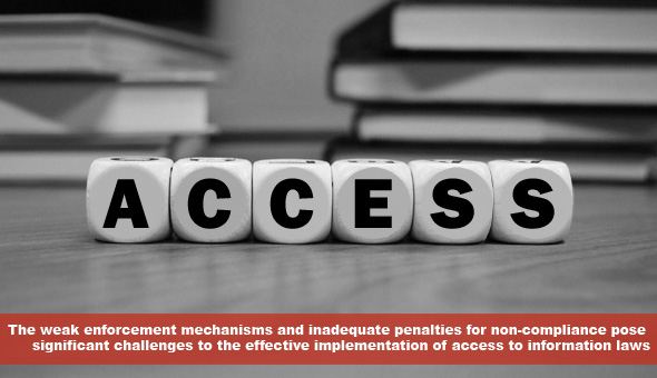 access-to-info-chioma